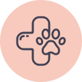 Veterinary developed icon